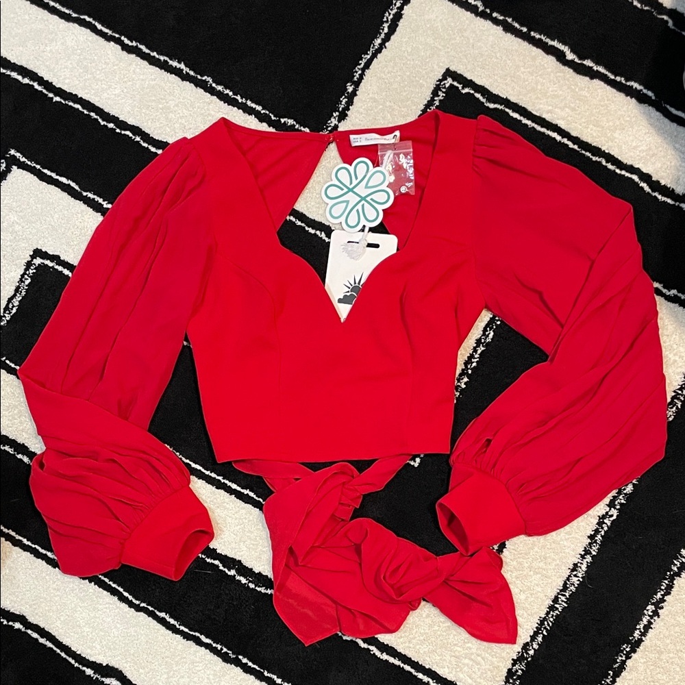 NWT Absolutely Beautiful Cropped Top